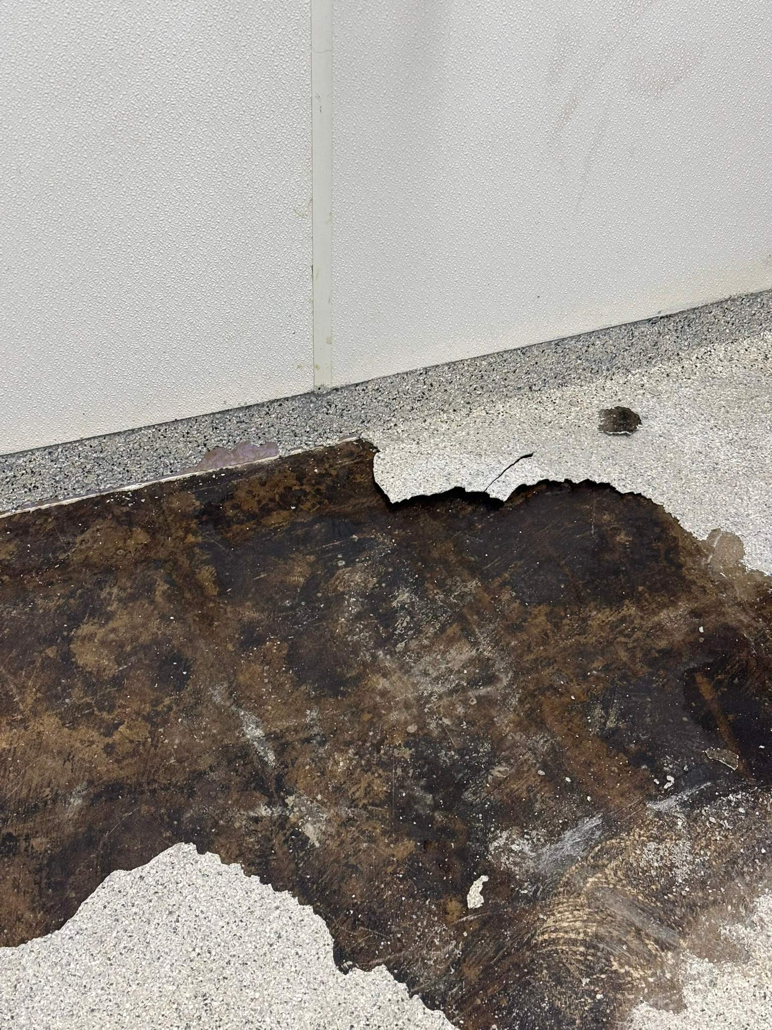 Project in Albion by Wise Coatings of Central Michigan