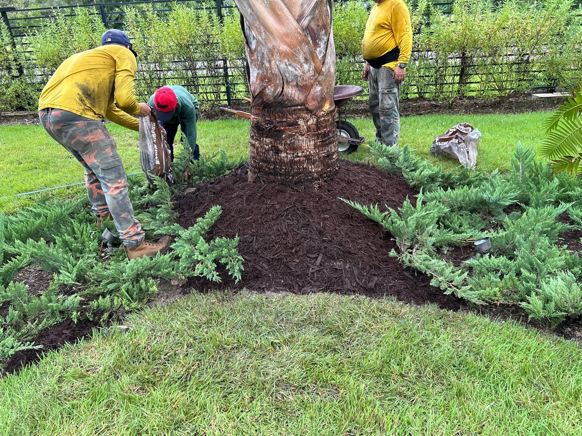 Pinecrest Landscape Upgrade from Minimum Requirements by Nature's Dream Landscape and Tree Service