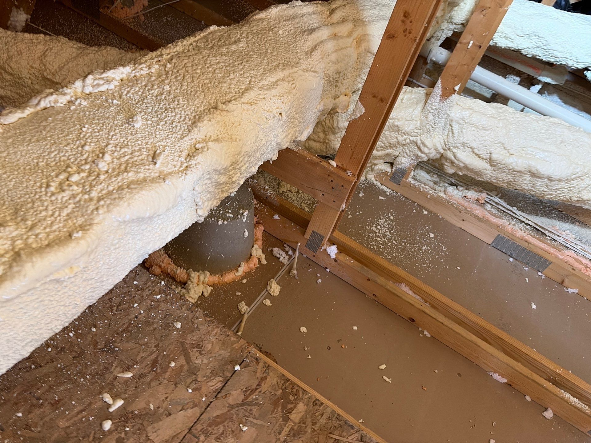 Sanitizing and Transforming a 2,100 sq ft Attic for a Better Home Performance by Home Environment Solutions