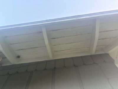 DeBary Residential Roof Replacement with Atlas Pinnacle Shingles and Wood Repair