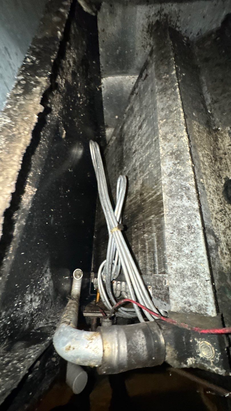 Extremely Dirty Air Duct Cleaning in Fruitland Park by Hygienic Air, Inc