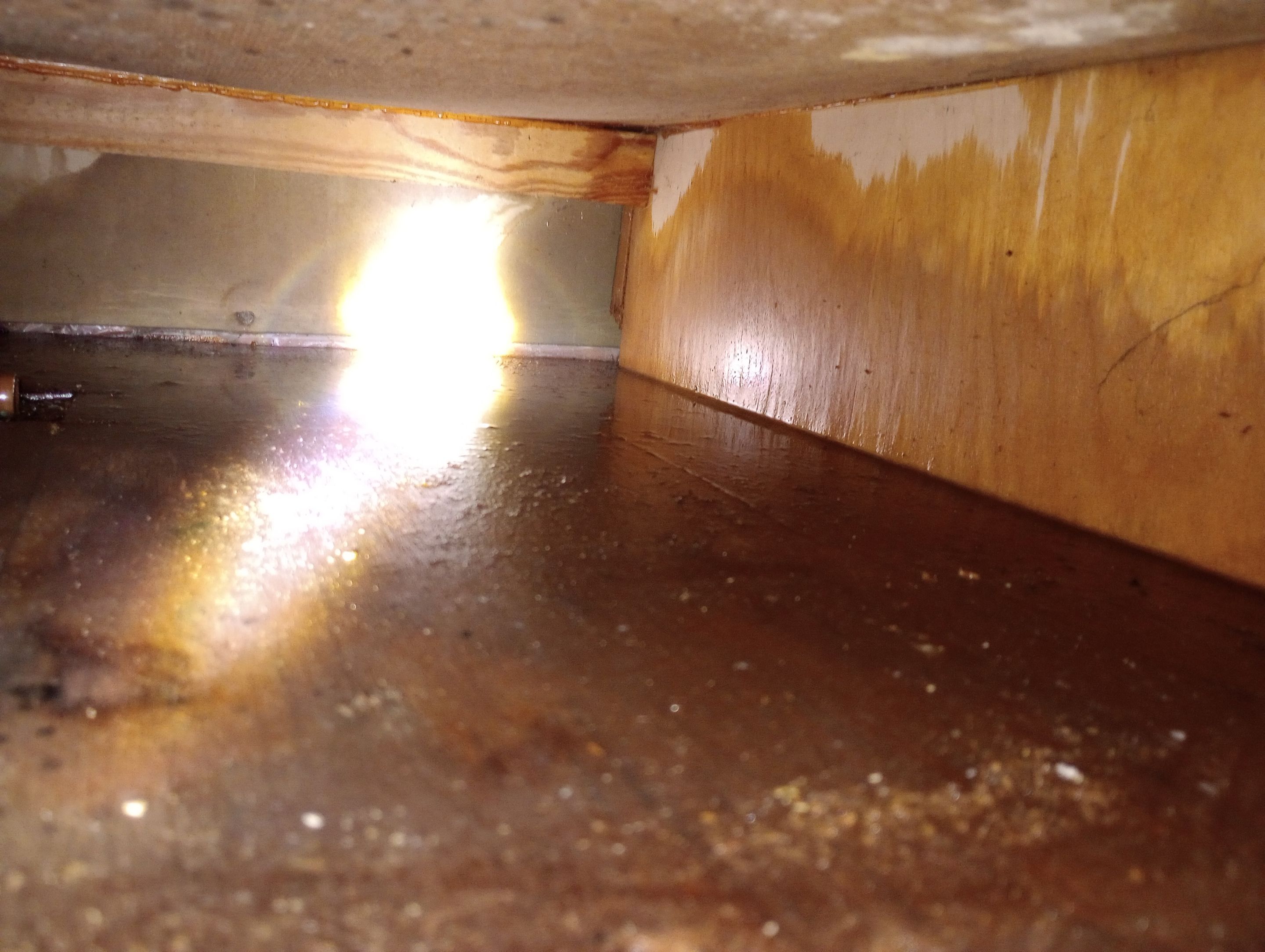 Emergency Service Water Mitigation in Sellersburg, IN  by ANR Restoration