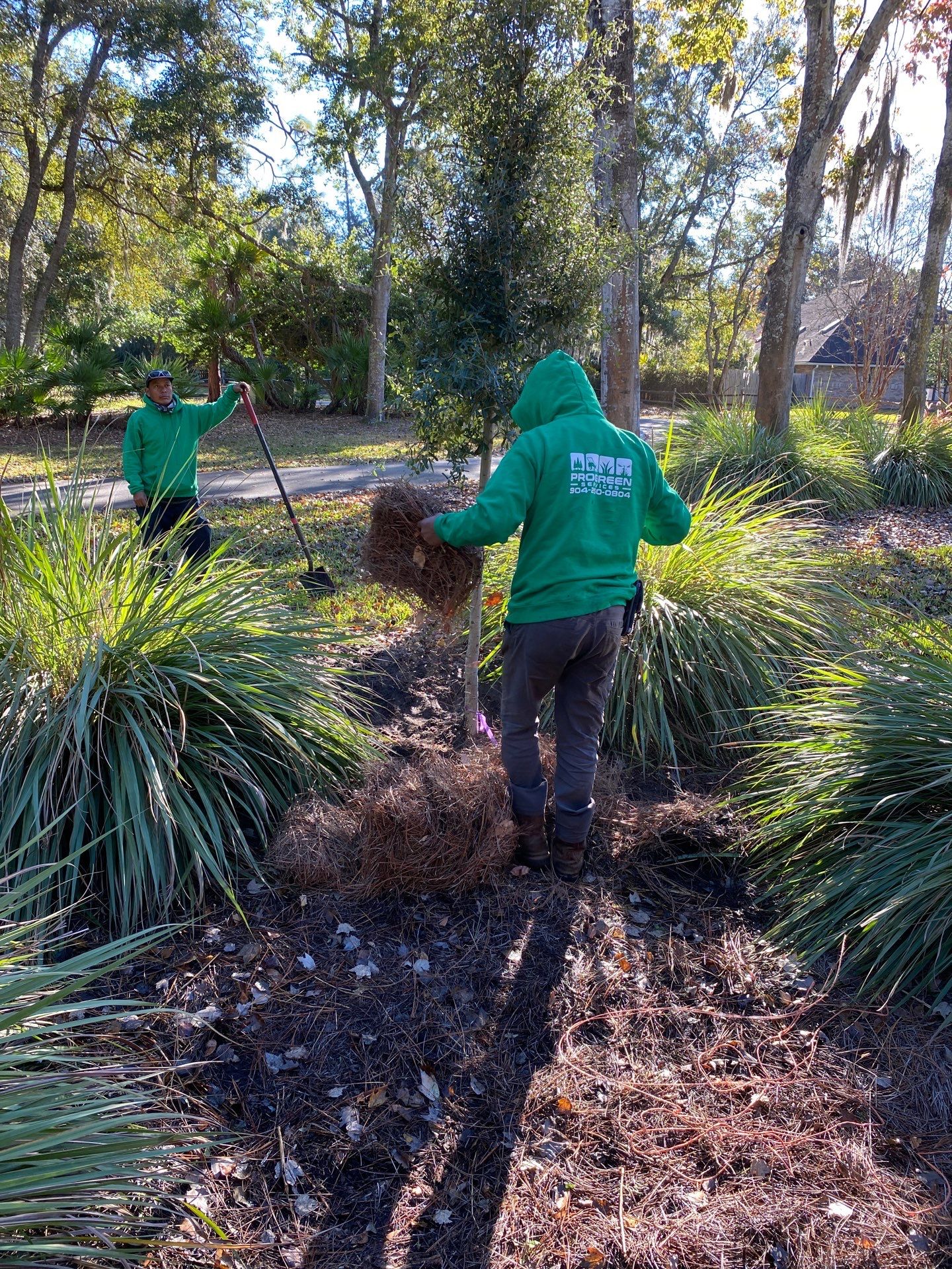 Deerwood Community | Oak Tree Replacement Project by ProGreen Services