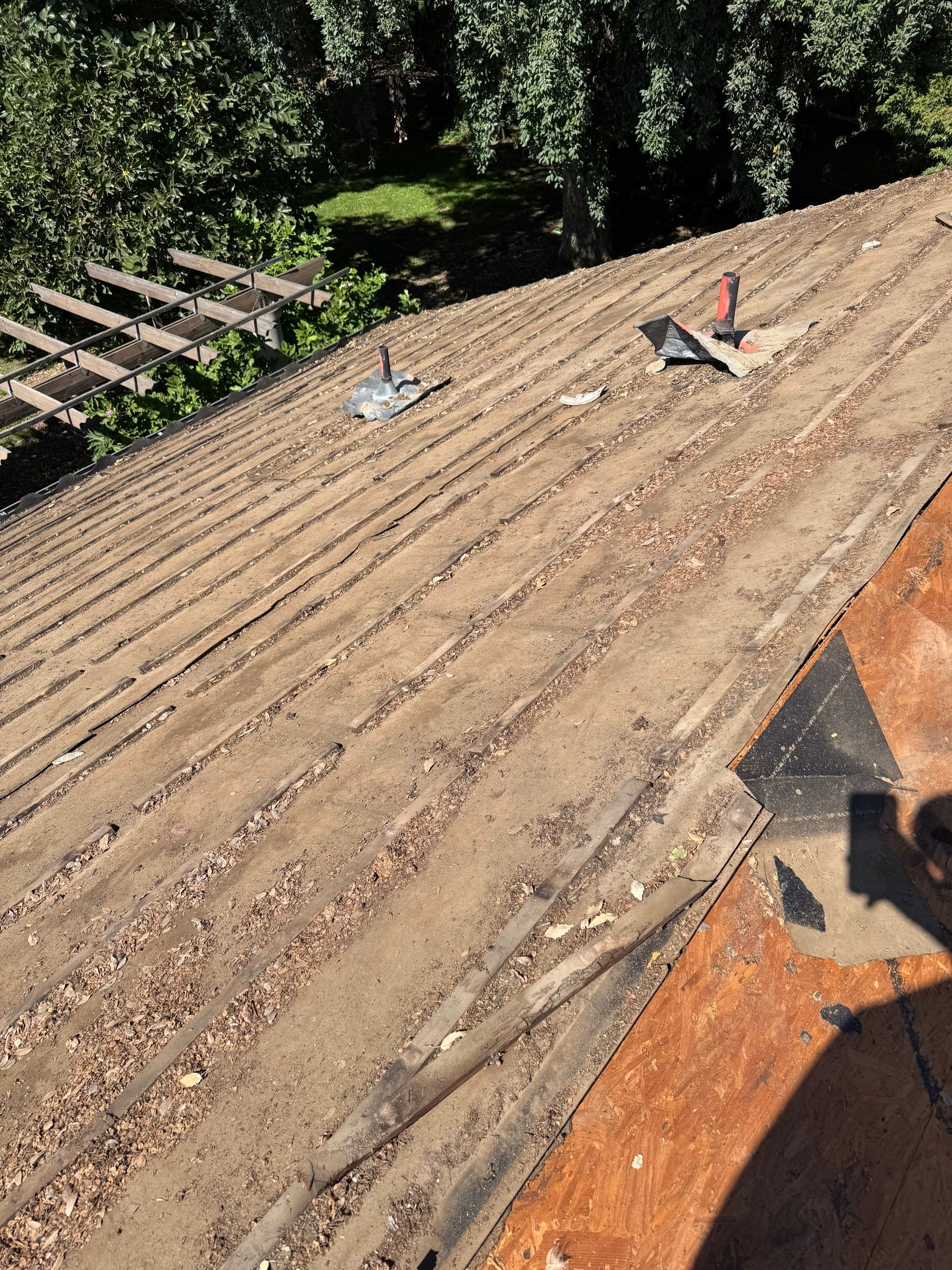 Presidential shingle roof by Straight Edge Roofing Inc