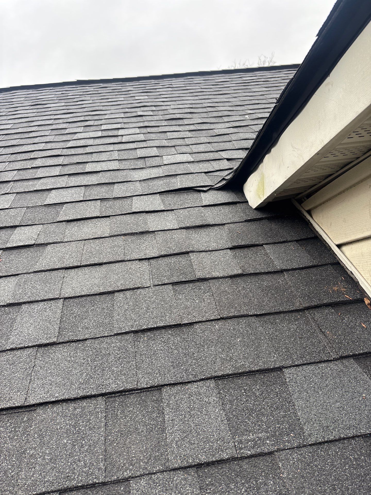 Roof Replacement Webster by Roof Repair Services LLC