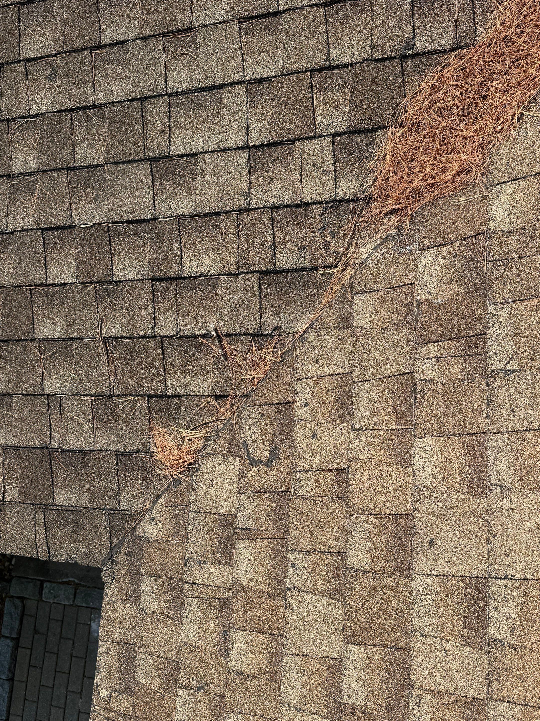 Roof Replacement & Gutter Installation – Chelmsford, MA by Mighty Dog Roofing of Greater Middlesex County