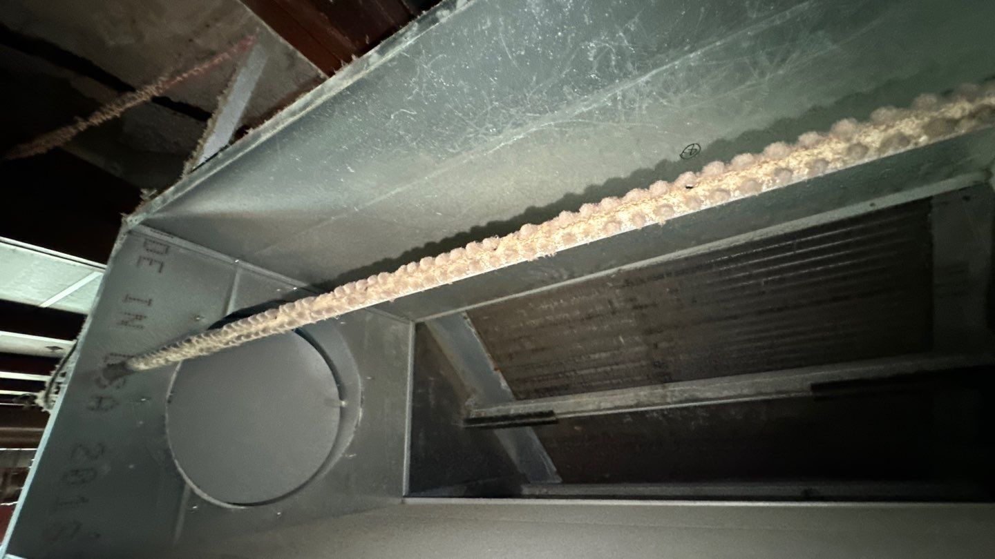 Commercial Air Duct and Pizza Oven Cleaning in Clermont by Hygienic Air, Inc