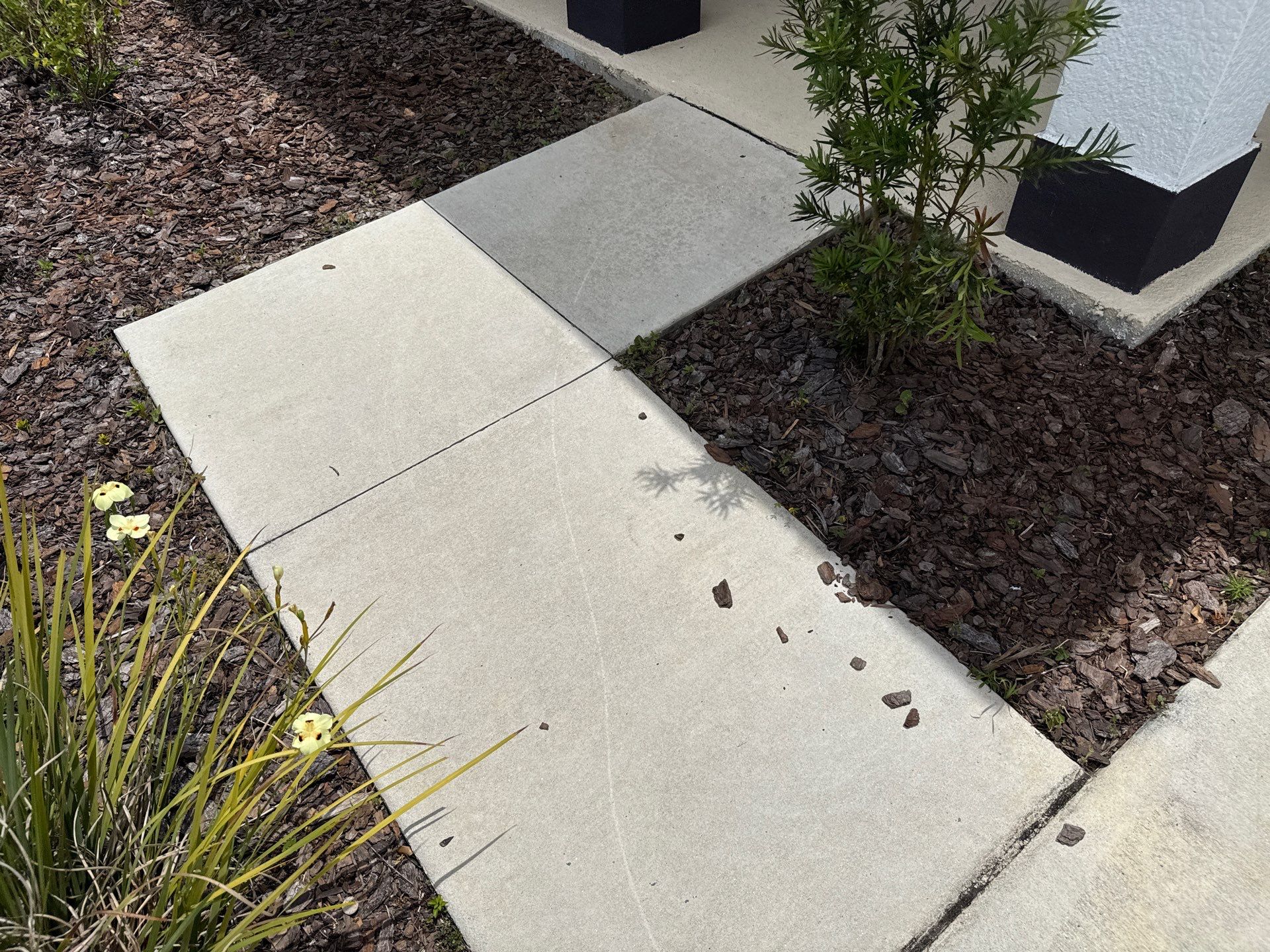 Full Exterior Concrete and Detail Cleaning – Silverstone North, Palmetto, FL by Sunshine AquaWash
