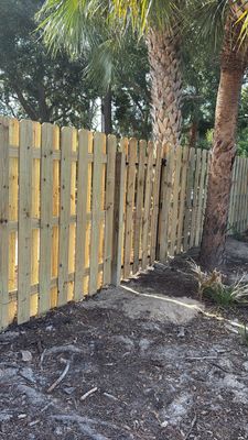 Project in Palm Harbor