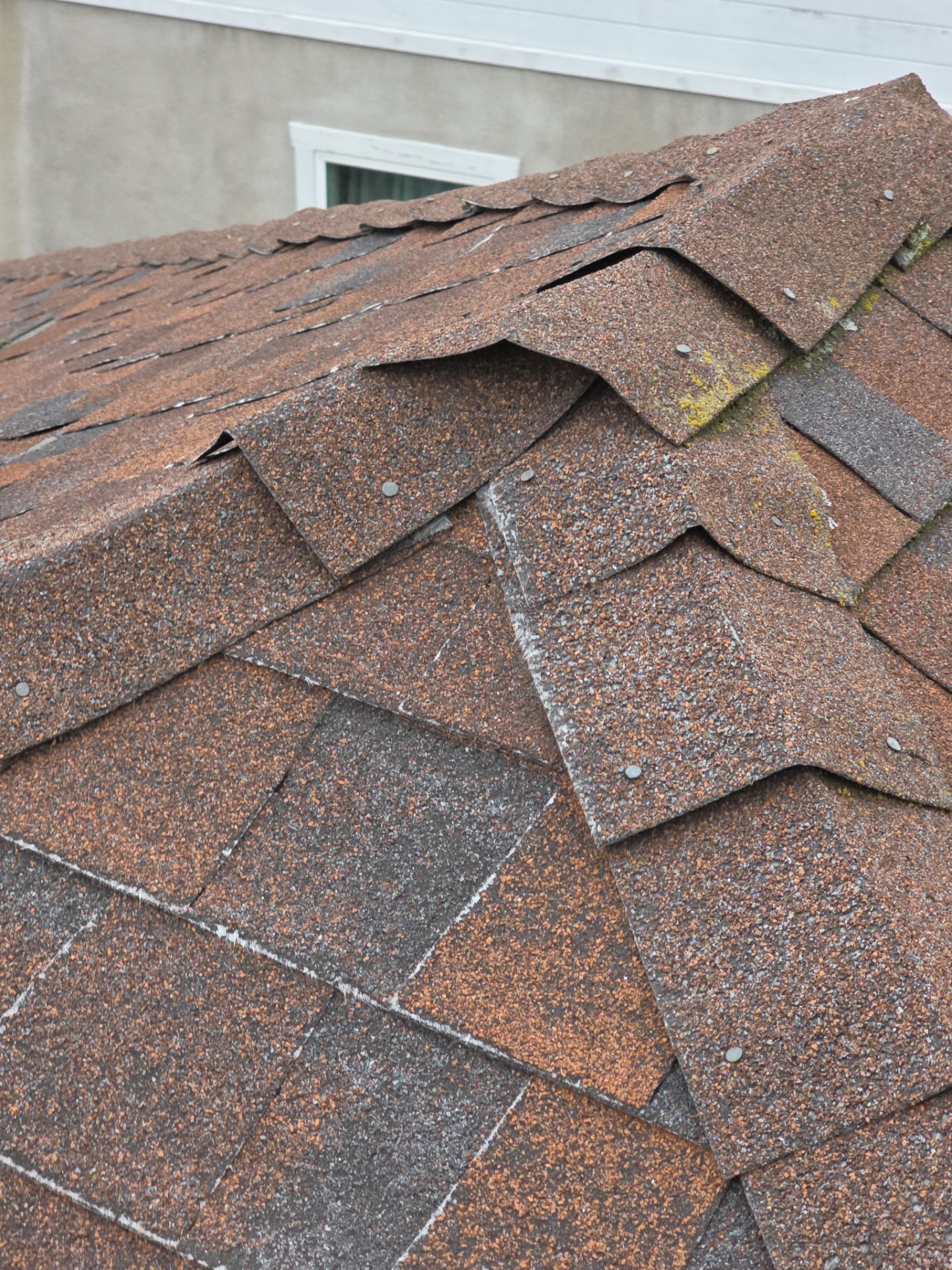 Roof Rejuvenation using Roof Maxx Treatment by Roof Maxx of Folsom