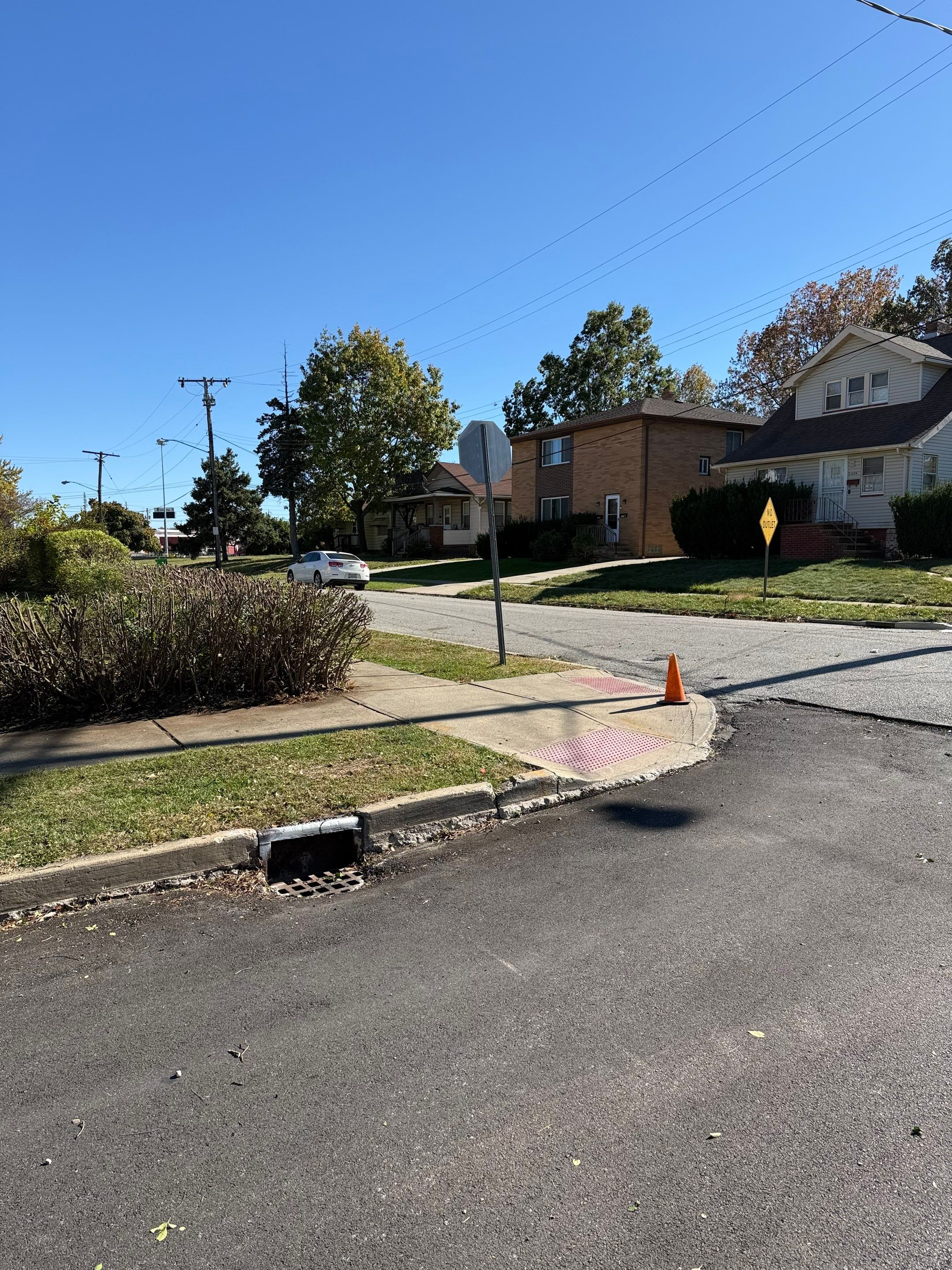 Hedge Shaping Maintenance by Elm Rose Gardens