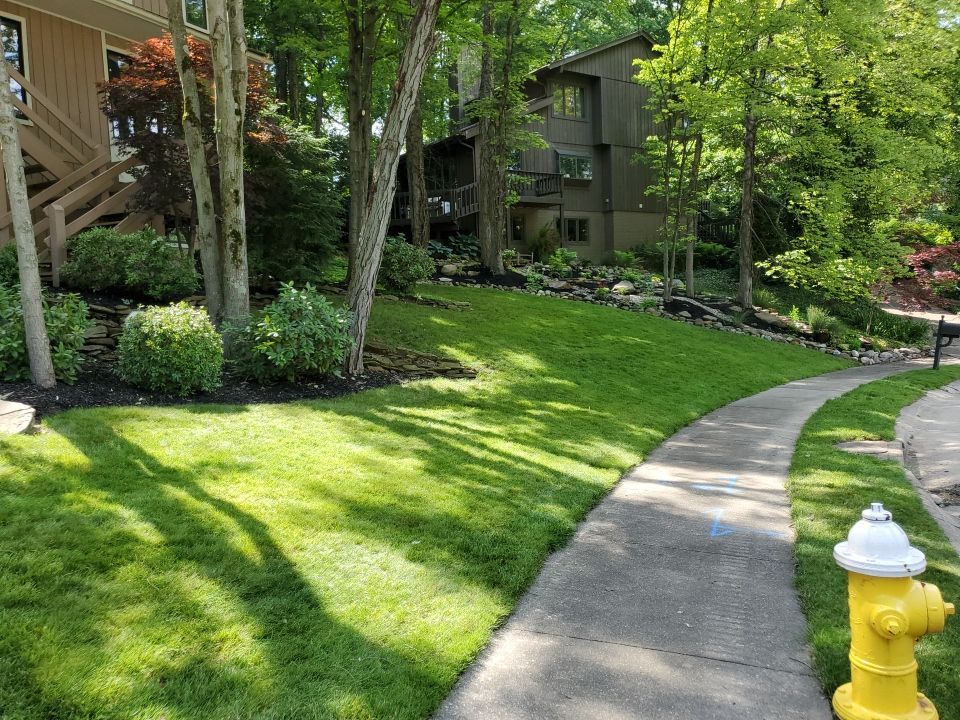 Tree Trimming using Tree Pruing by Mike Jones & Sons Tree Service LLC 