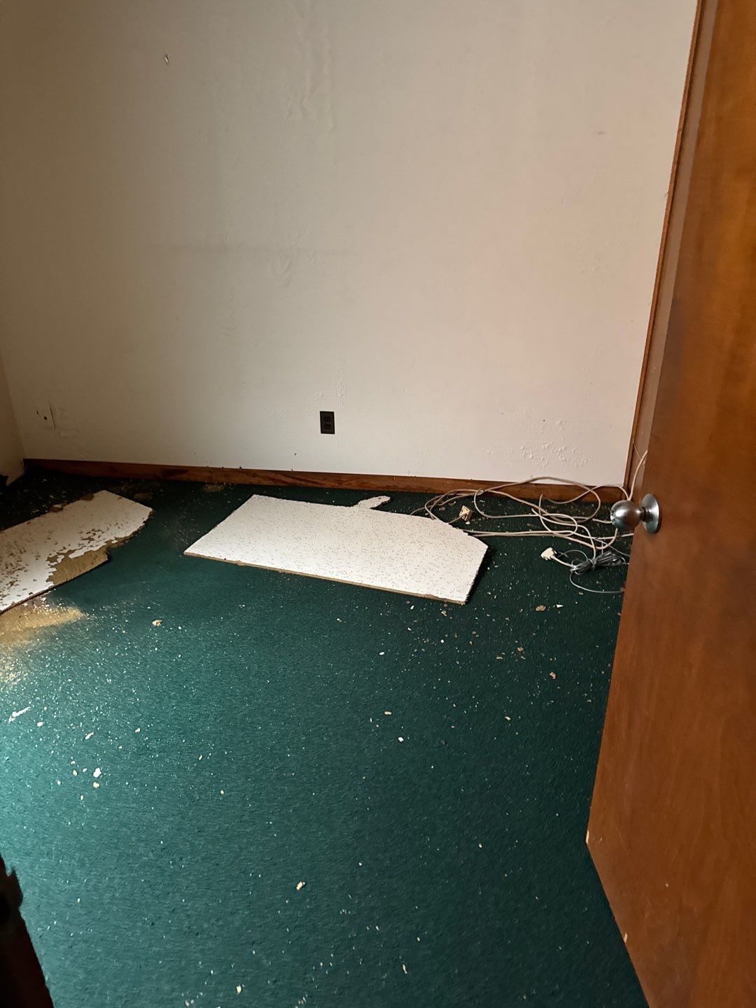 Project in Royal Oak by EzDry Water Mitigation & Property Restoration