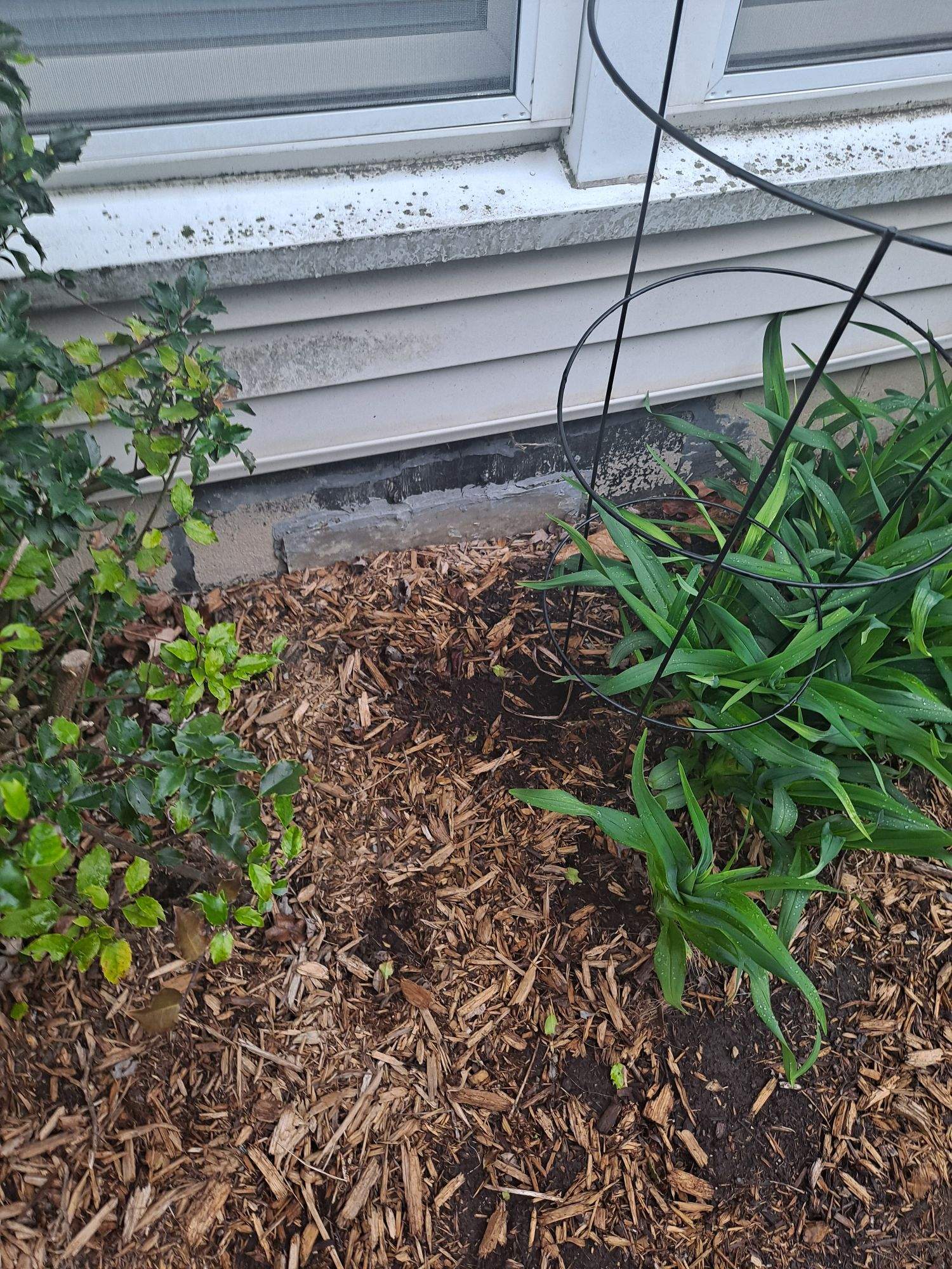 Foundation Inspection for Home Sale by Allied Water Services