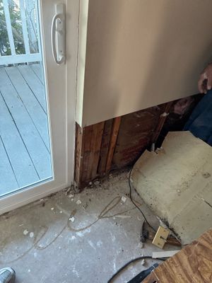 Wet Carpet Drying — Cape Coral, FL
