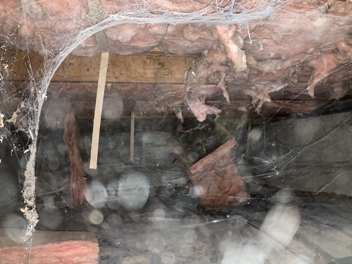 Crawl Space Cleanup  by Accountable Home Services