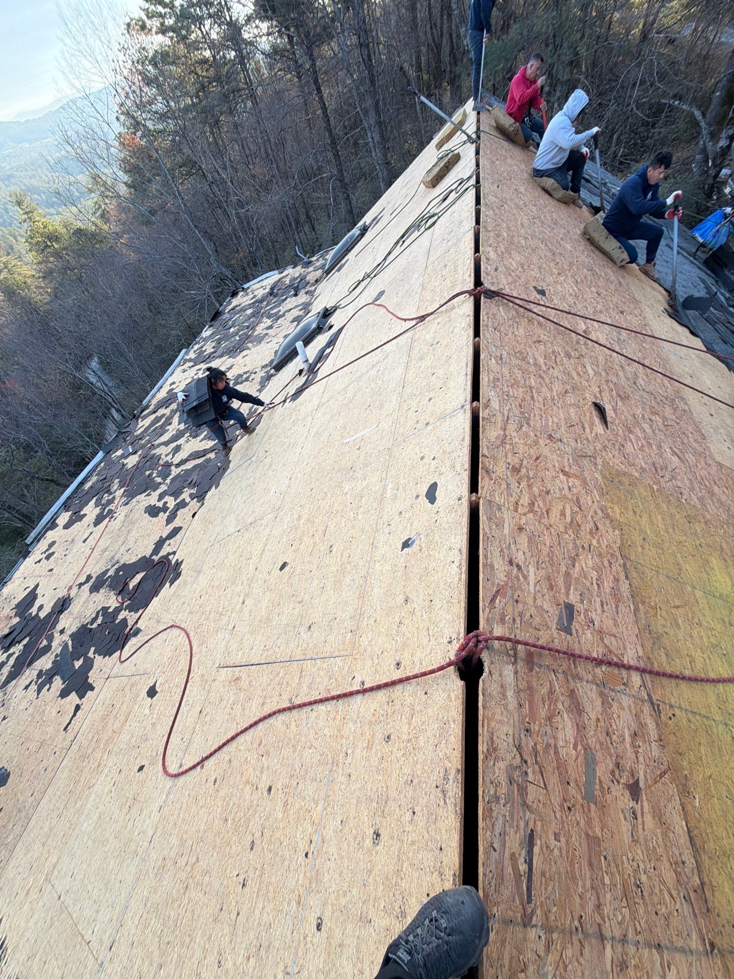 Holly Klaine by United Contracting and Roofing