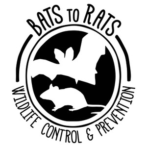 Logo for Bats to Rats LLC - Wildlife Control and Prevention