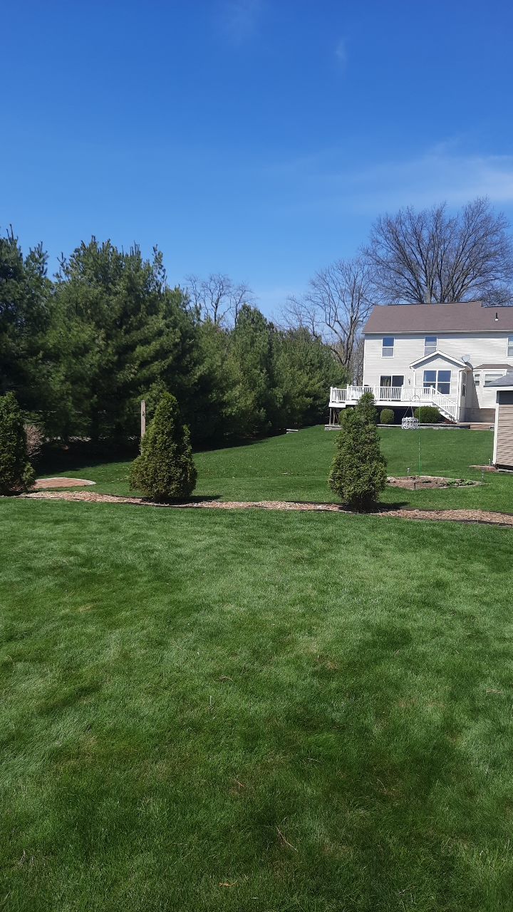 Tree Removal using Tree Removal by Mike Jones & Sons Tree Service LLC 