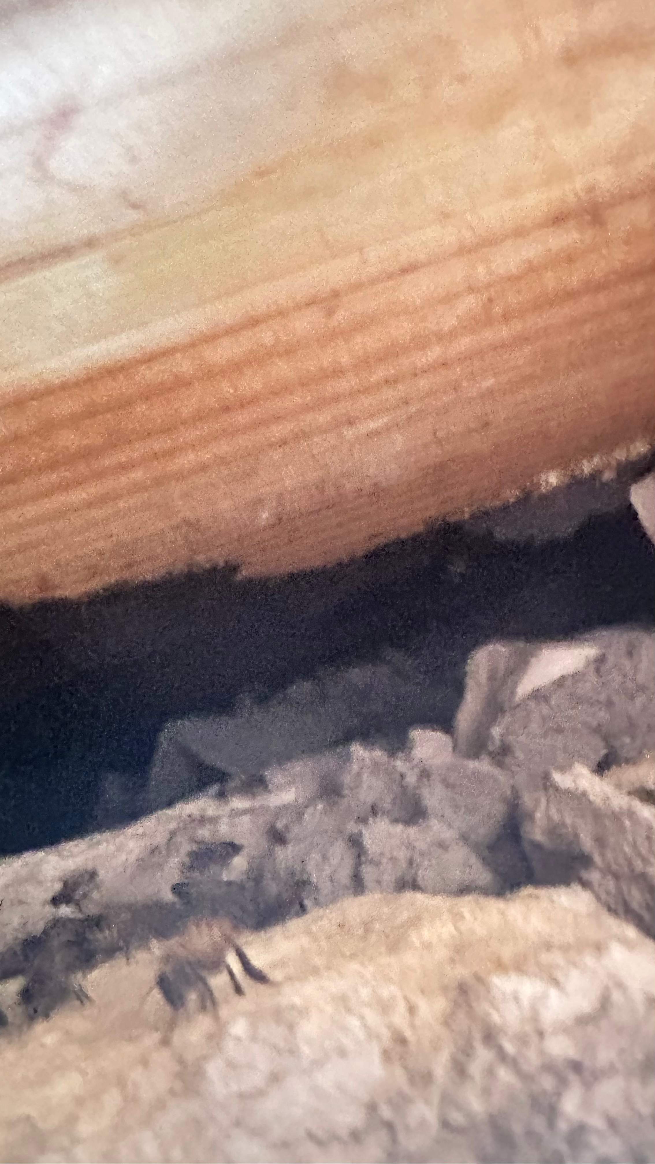 Unsealed Attic by Rockwall Honey Bee Company