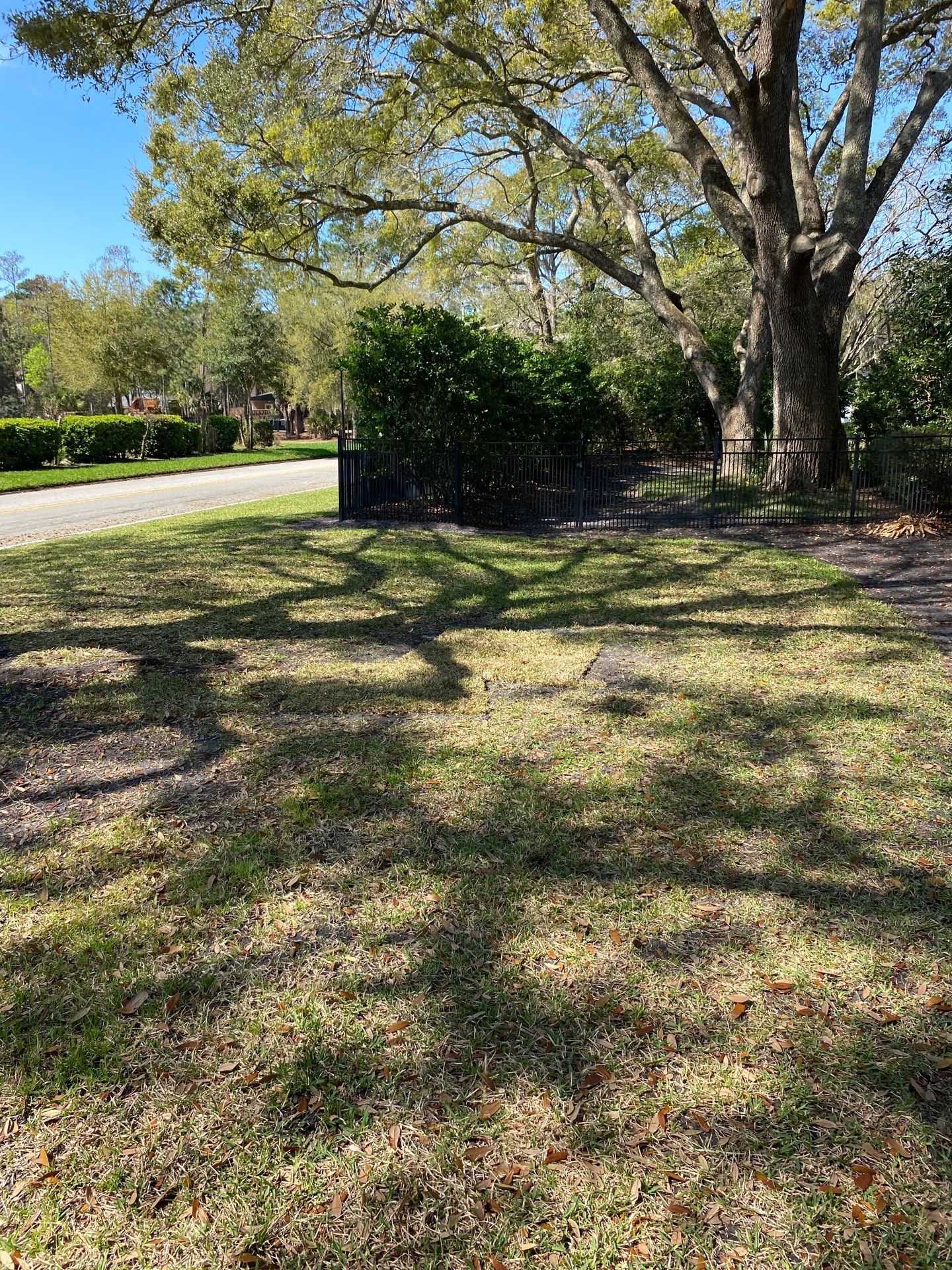 Deerwood Resident | Tree Service by ProGreen Services