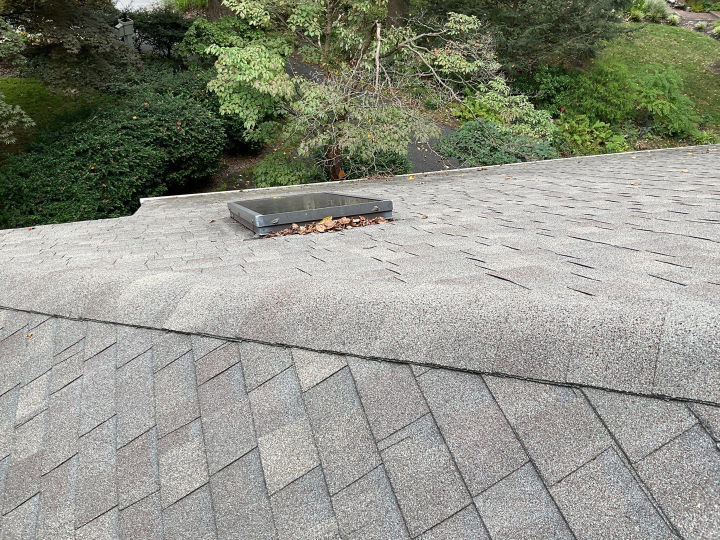 Install new shingles and new skylights  by Alpha Design Services