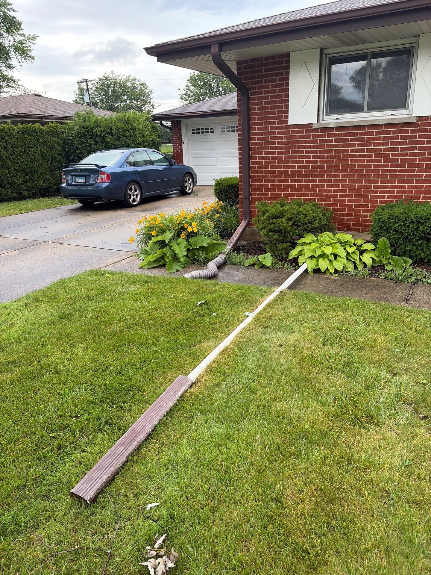 Martha C. - Mount Prospect, IL by A&N 