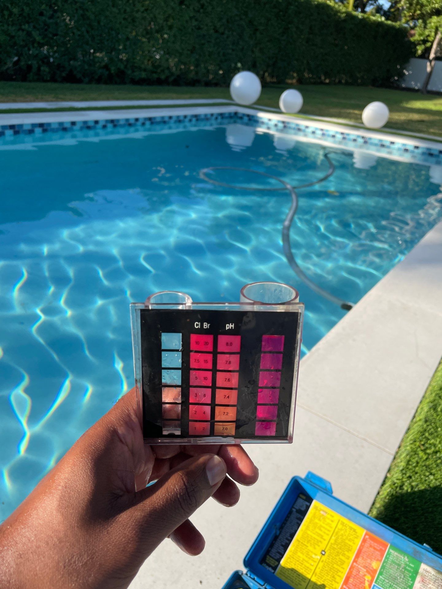 Project in South Miami by ROSMEL POOLS INC