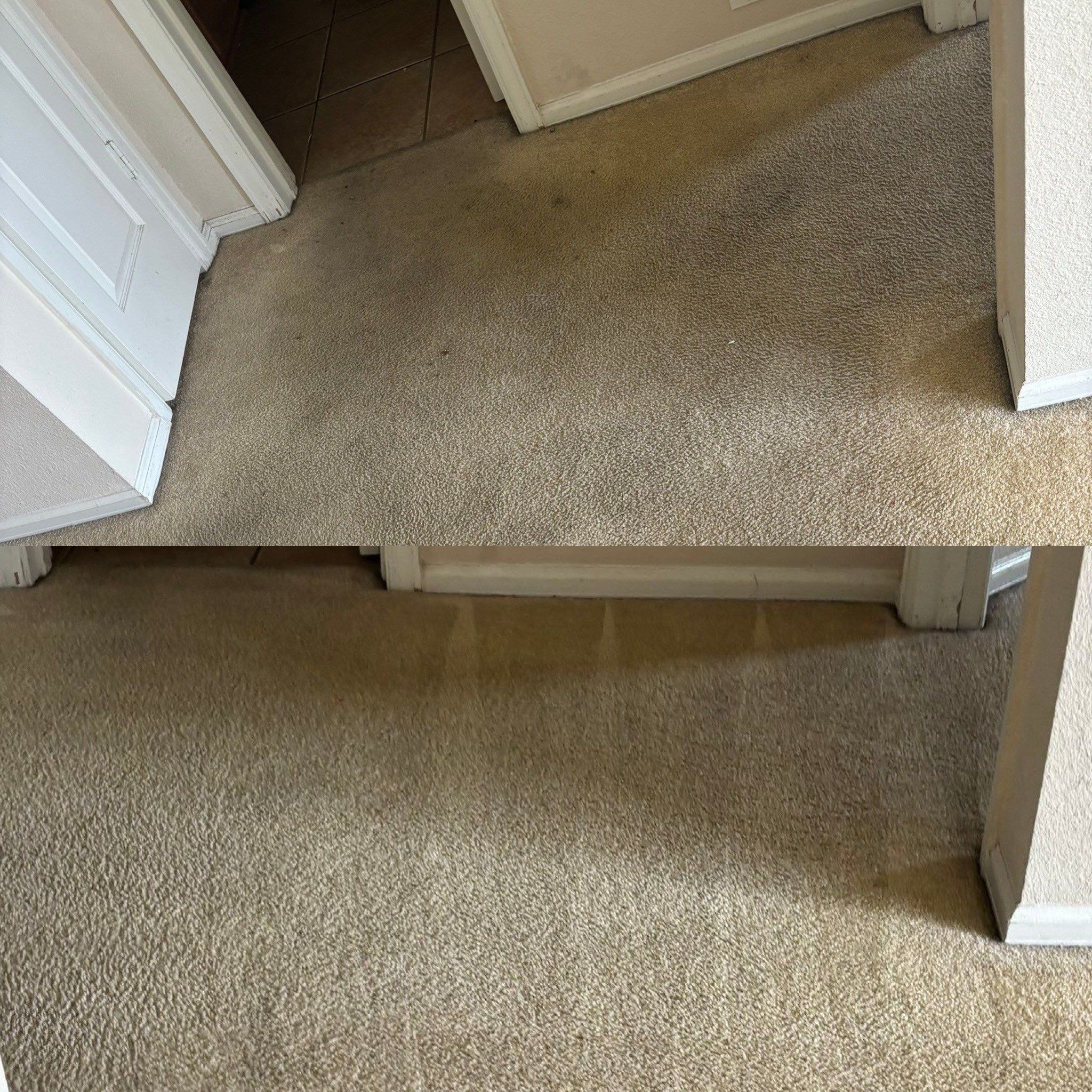 the service shown is professional carpet cleaning removing stains and dirt from carpet surfaces making them look fresh and clean