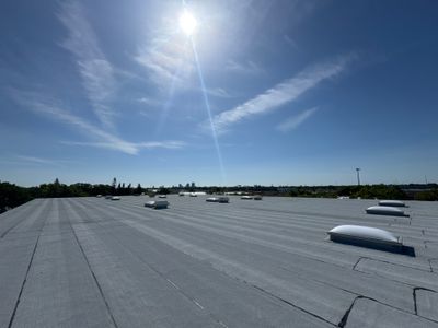 Project in St. Petersburg 33713