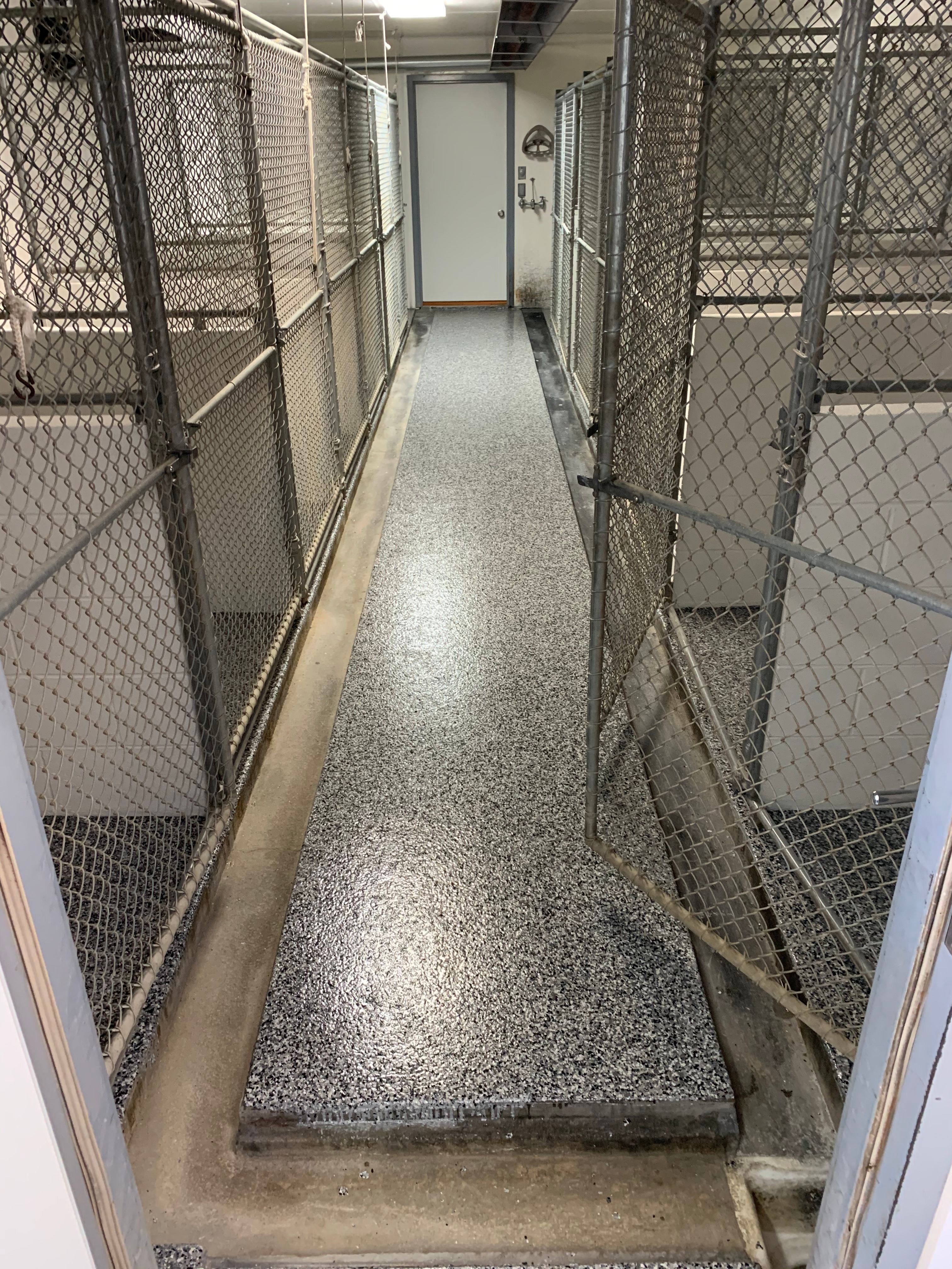York Animal Clinic by Granite Garage Floors