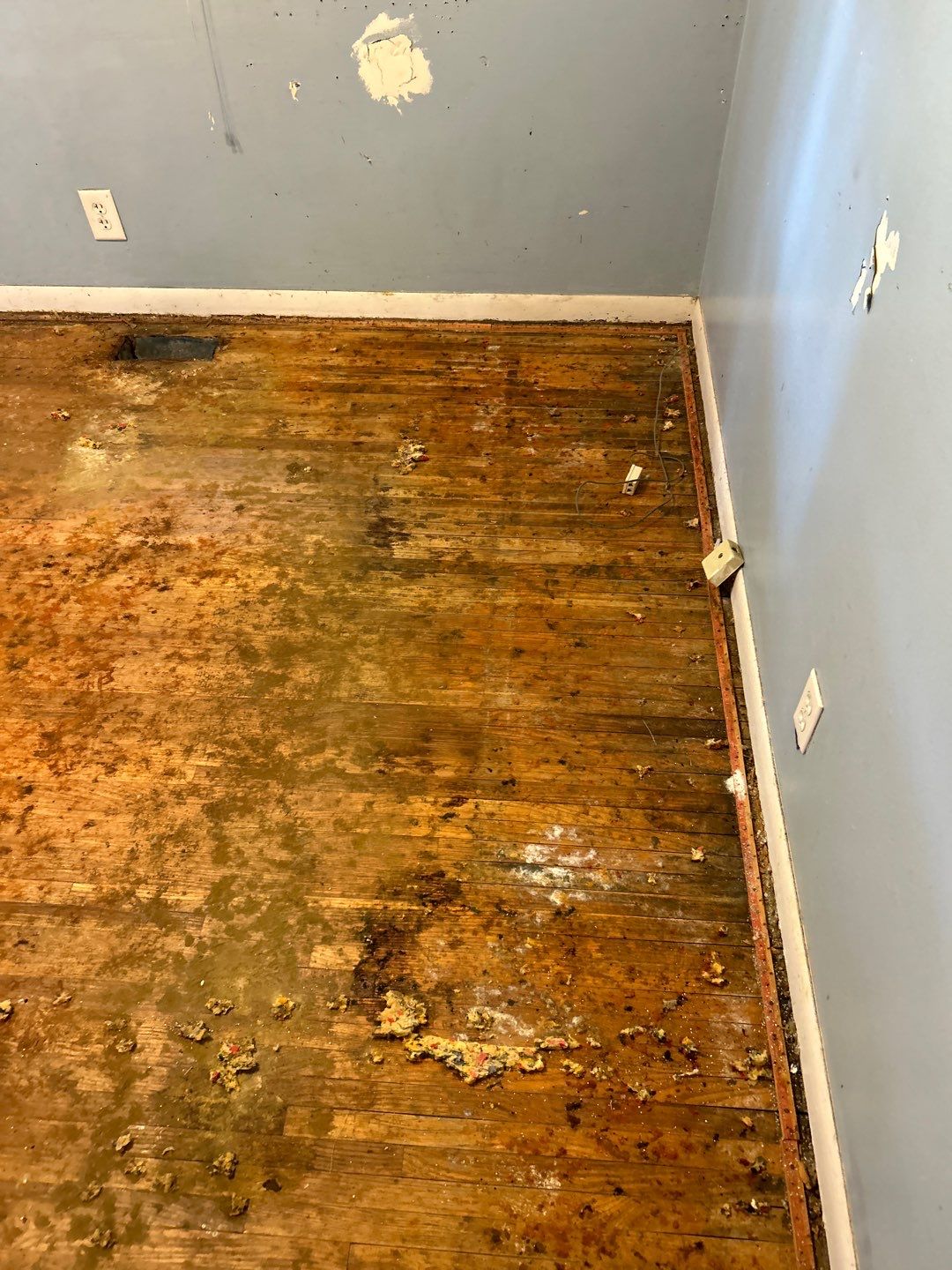 Carpet demo and hardwood refinish  by Footprints Floors of Nashville
