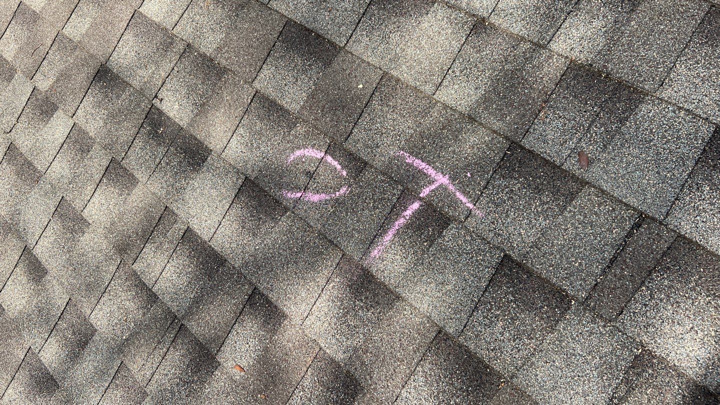 Winter storm 2023 with tree damage by Oakwood Roofing and Construction, LLC