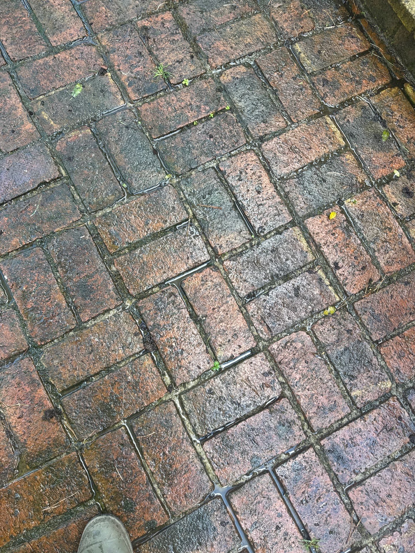Roof - Driveway - Patio Clean using 18inch Whirlaway FSC by Ges Exterior Cleaning ltd