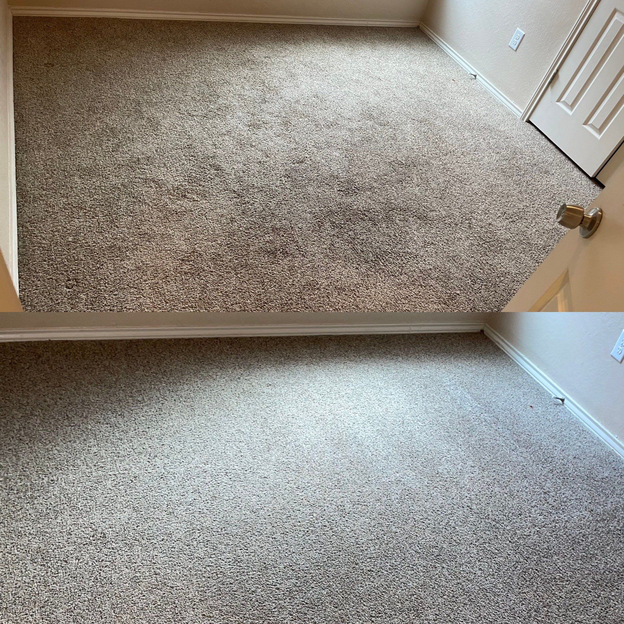 carpet cleaning in a room the carpet looks much cleaner and brighter after the cleaning service was performed