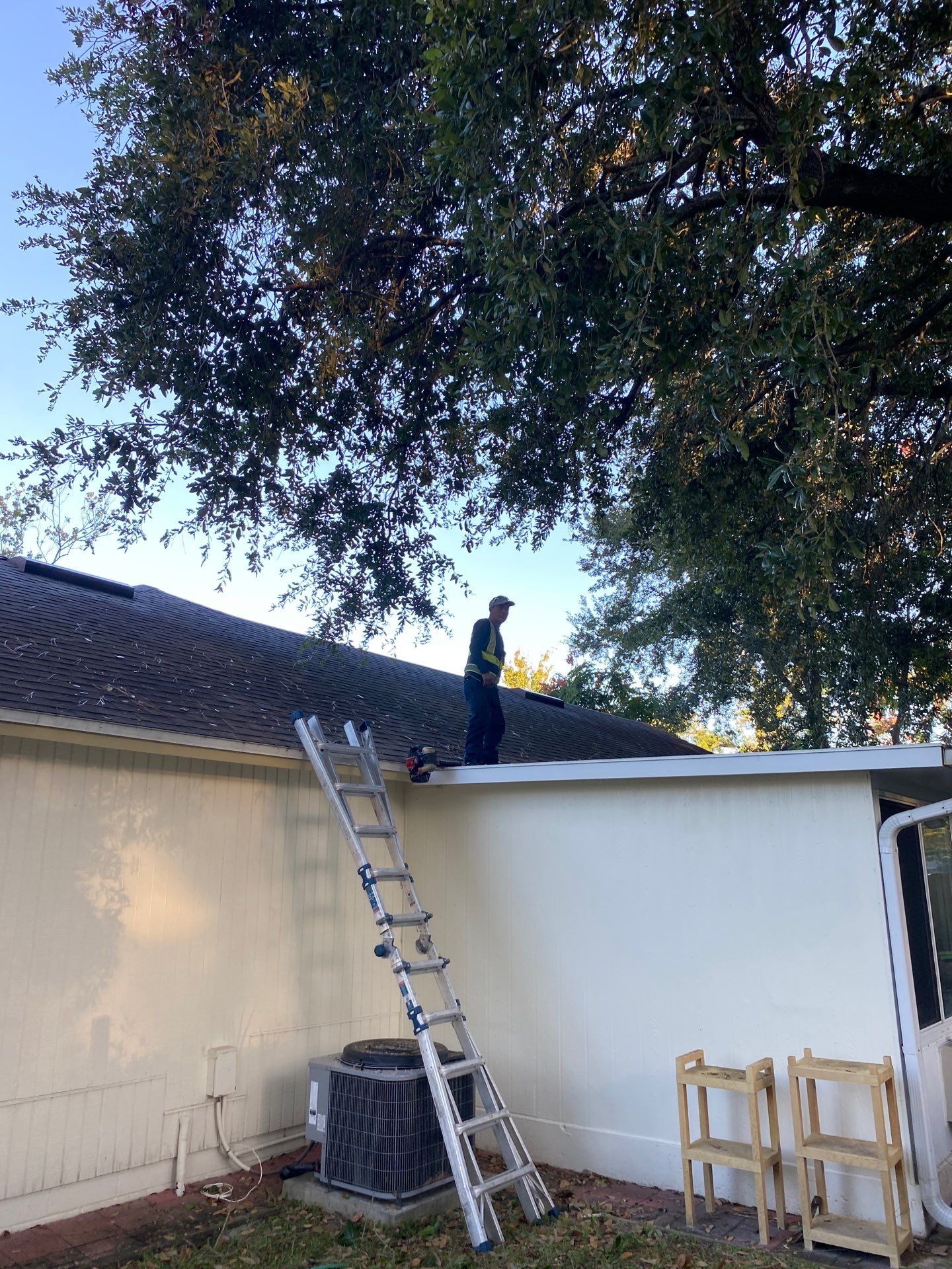 Tree Trimming | Residential by ProGreen Services