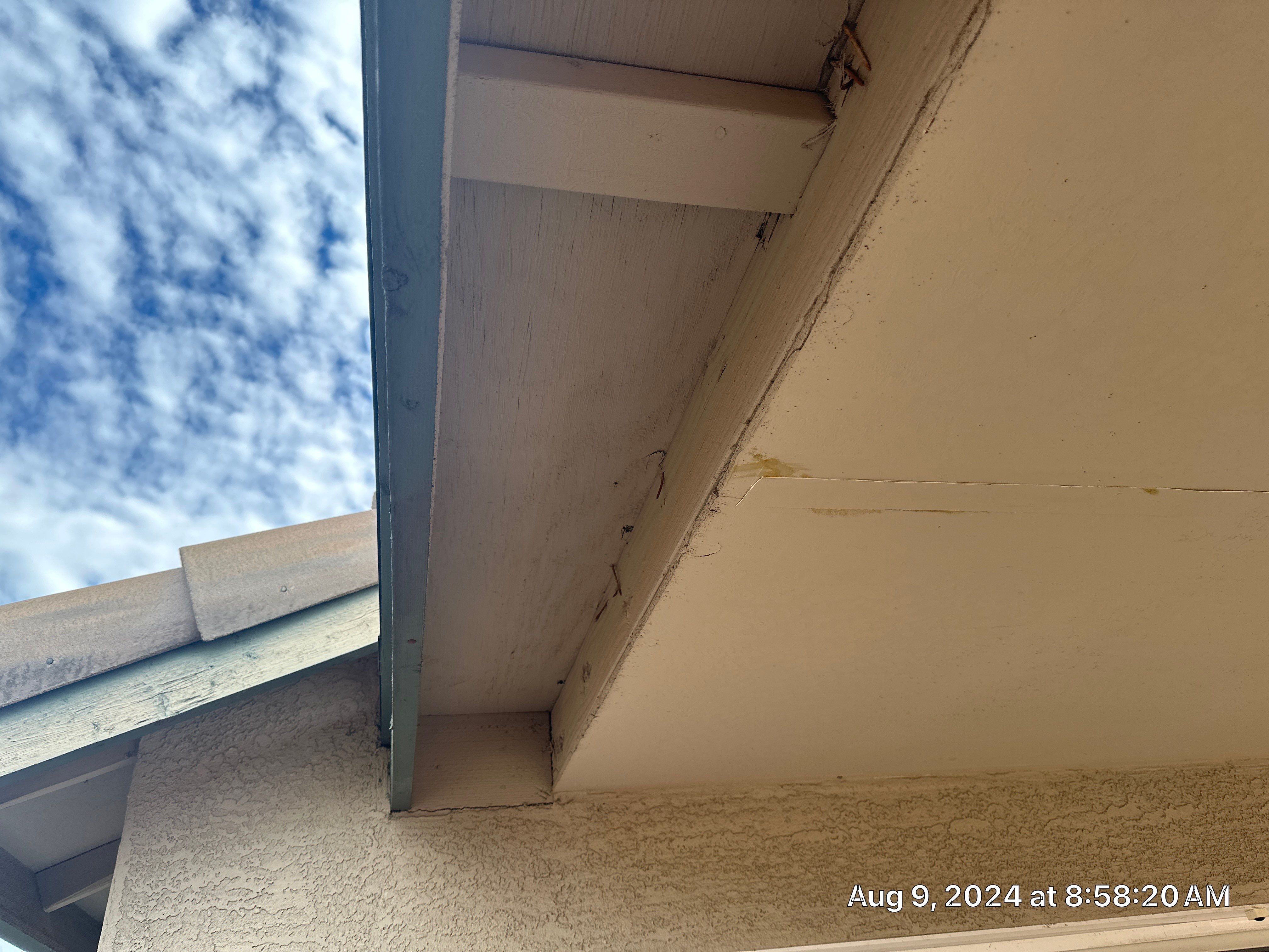Exterior Painting - Phoenix by Crash of Rhinos Painting & Garage Floors