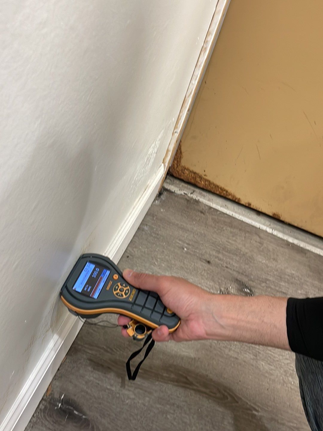 Project in West Bloomfield Township by EzDry Water Mitigation & Property Restoration