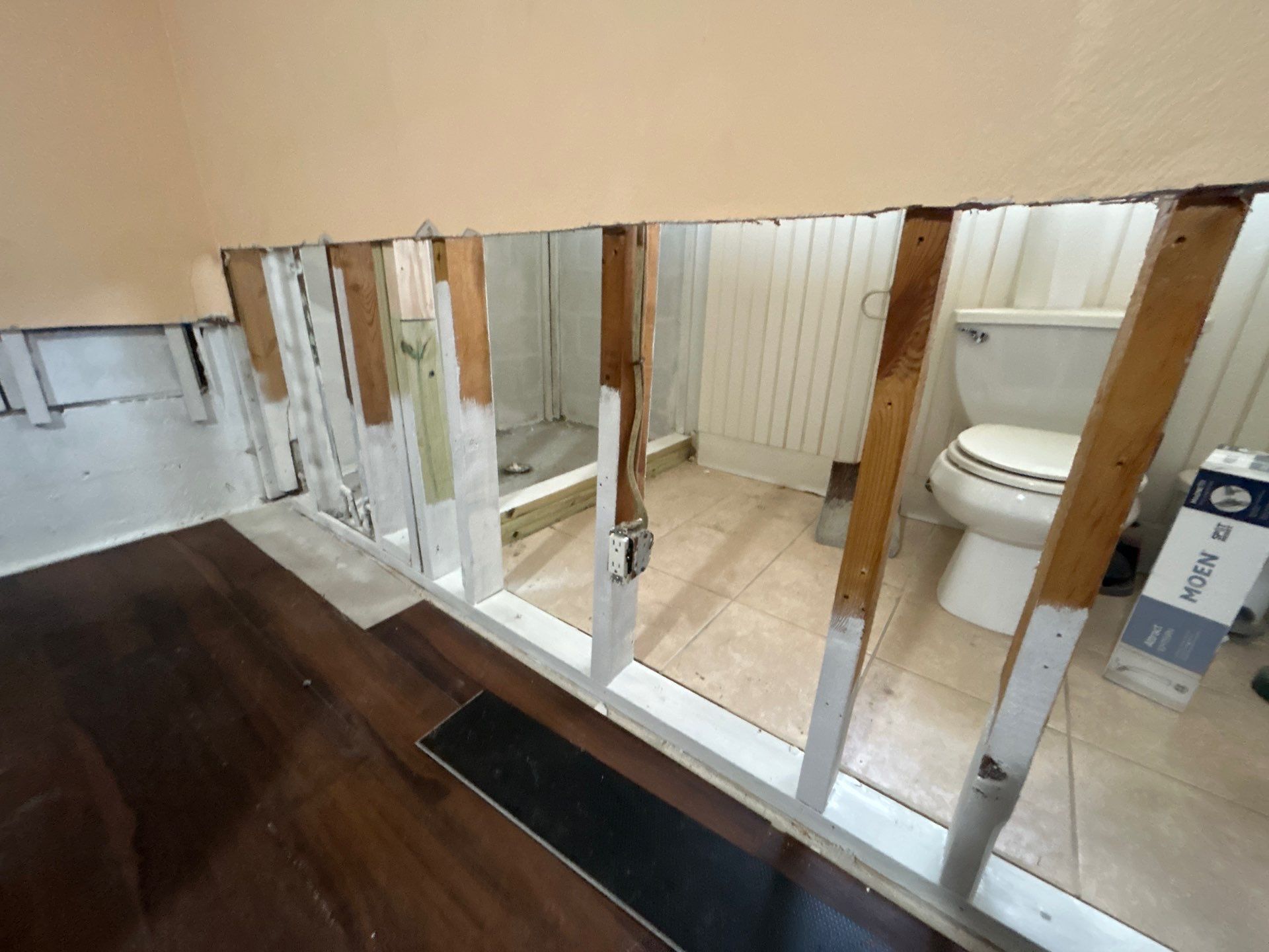 Mold Removal & Remediation In Seminole FL by Ampm Restoration Services