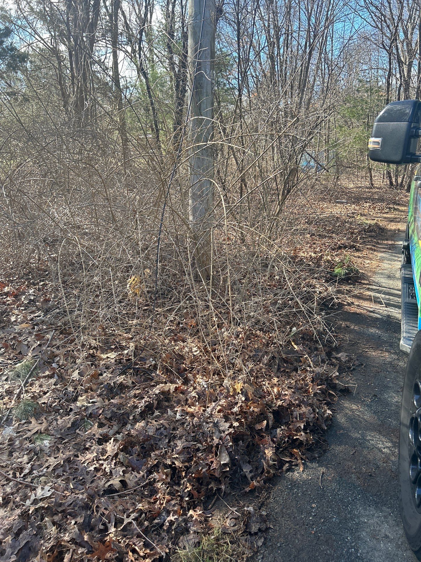 Landscape Walkthrough by LaMere Landscaping and Property Maintenance