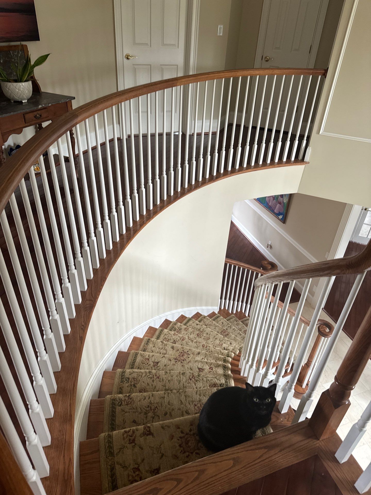 Prefinished Maple transformation by Ann Arbor Hardwoods 