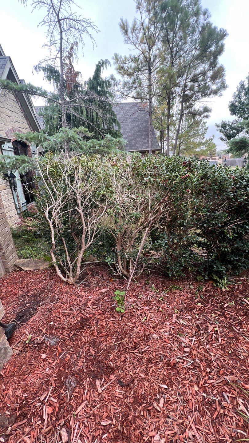 Landscape  by Clays Services Inc
