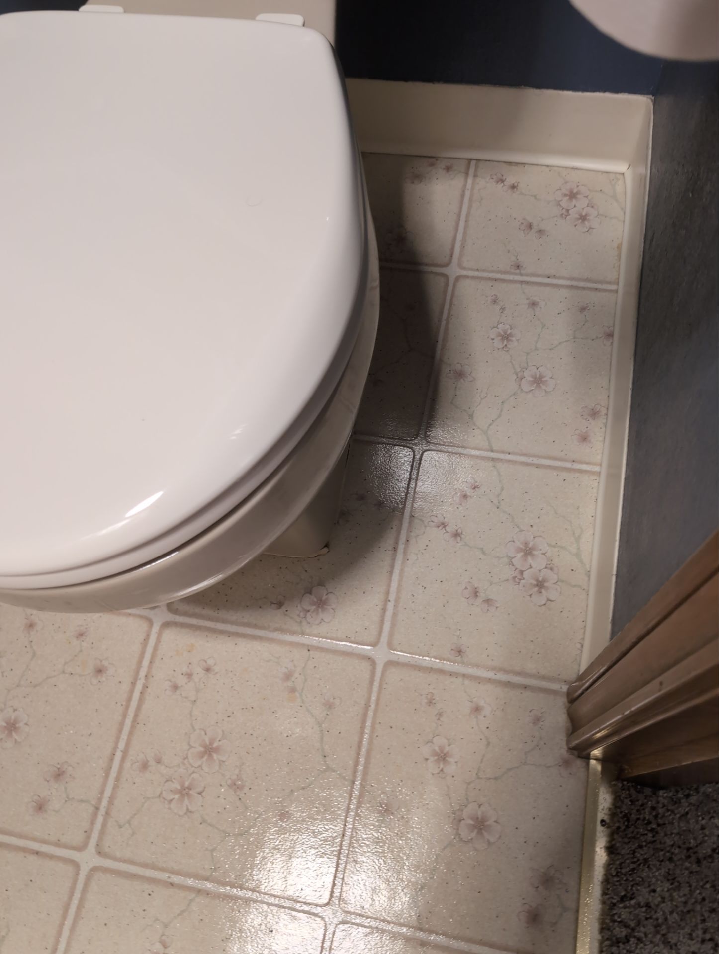 House Cleaning service performed in West Linn by Cloud 9 Professional Cleaning Services