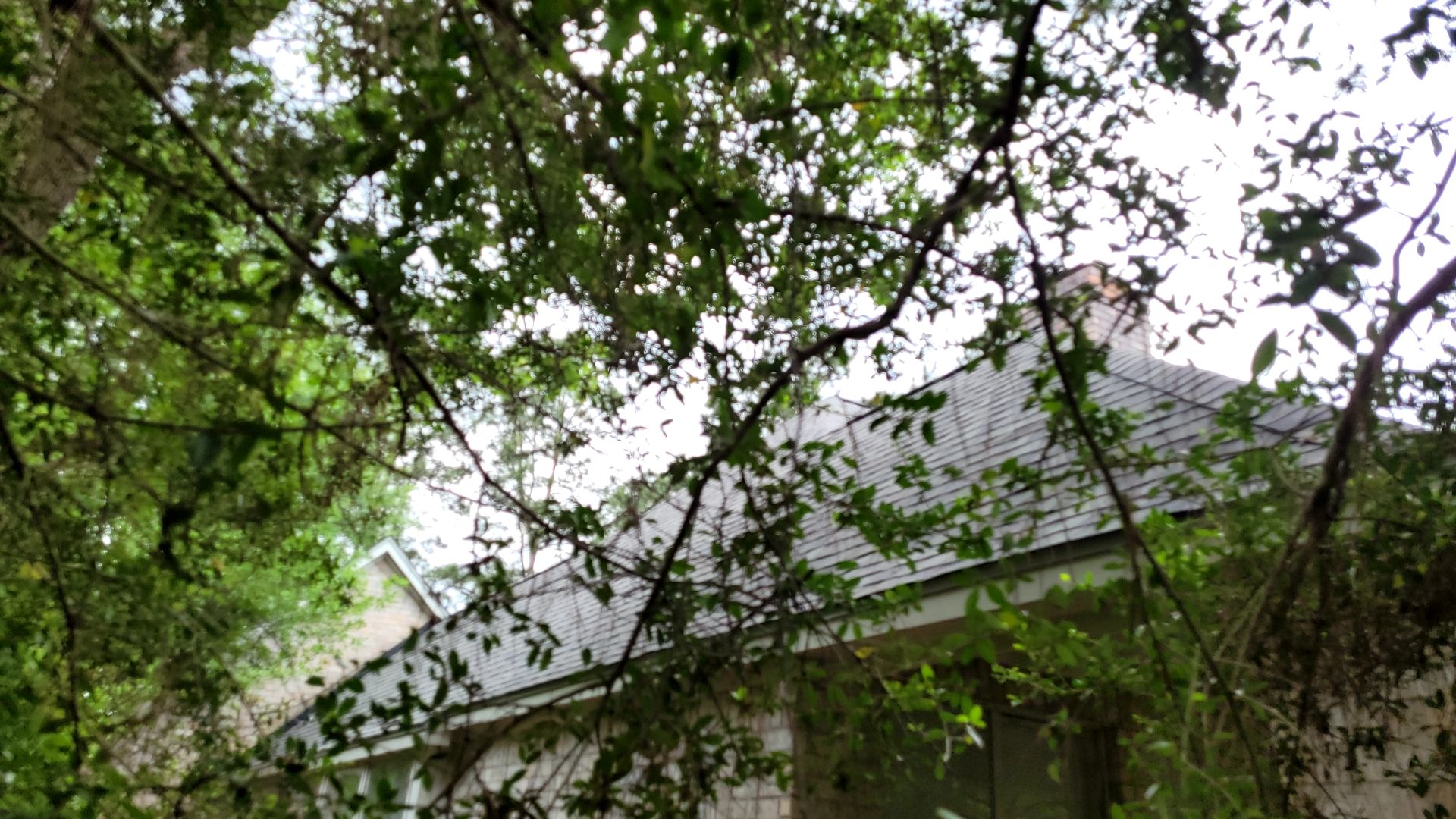 Residential Roofing Installation using CertainTeed by Roof Concepts Construction