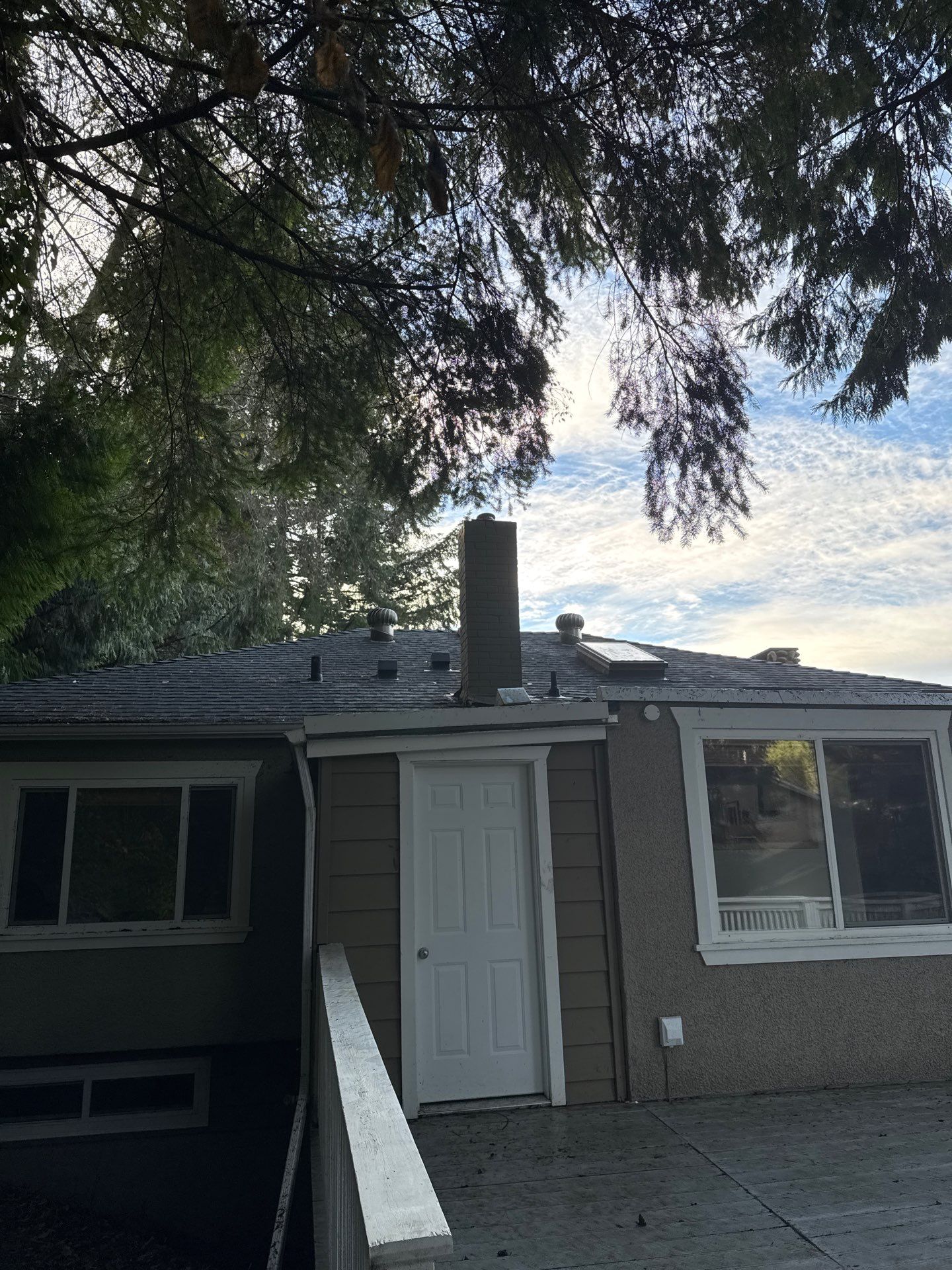 Leaf removal by YVR Construction Group
