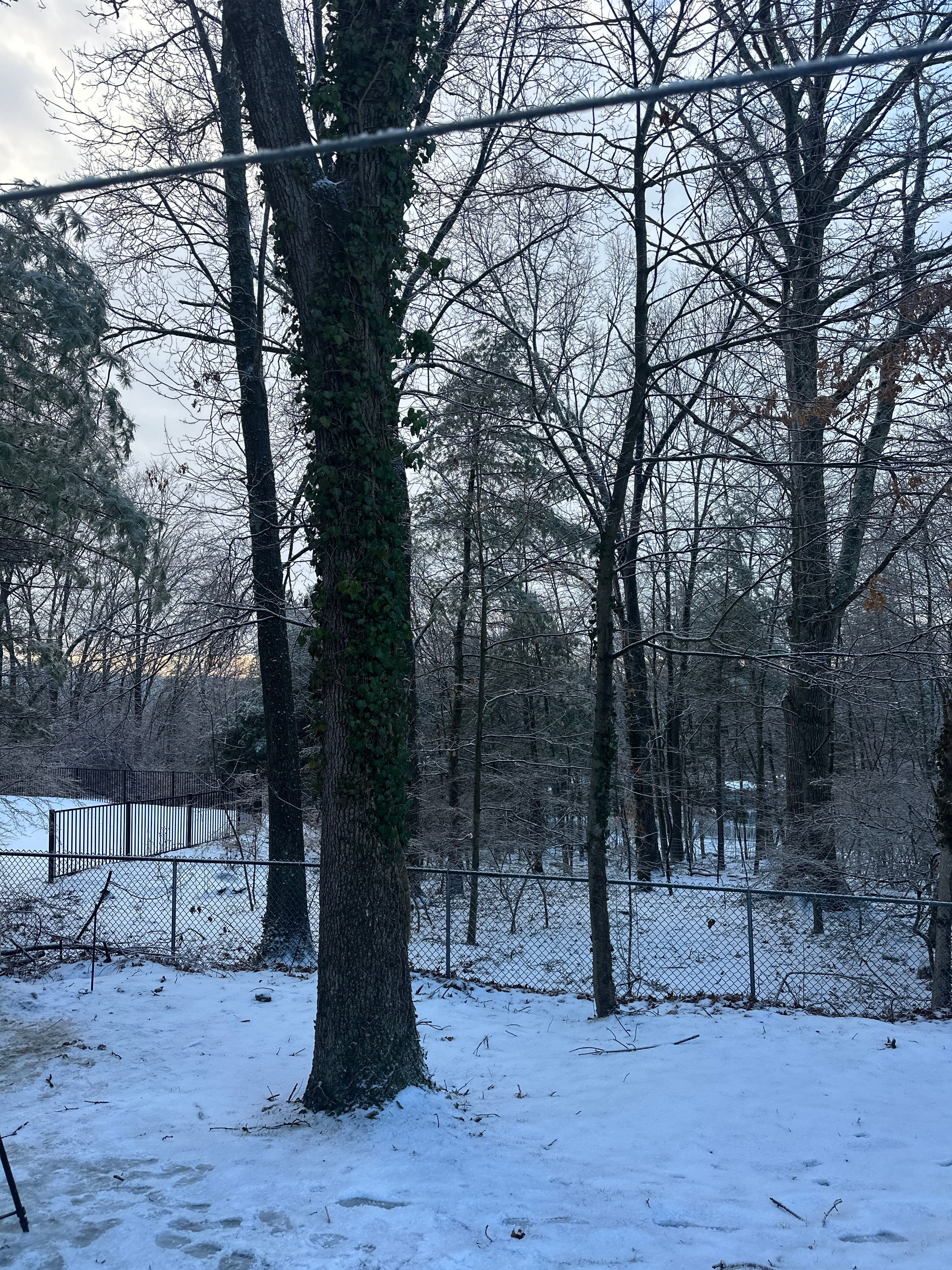 Sauna Project in Sudbiry Ma by UBrothers Construction