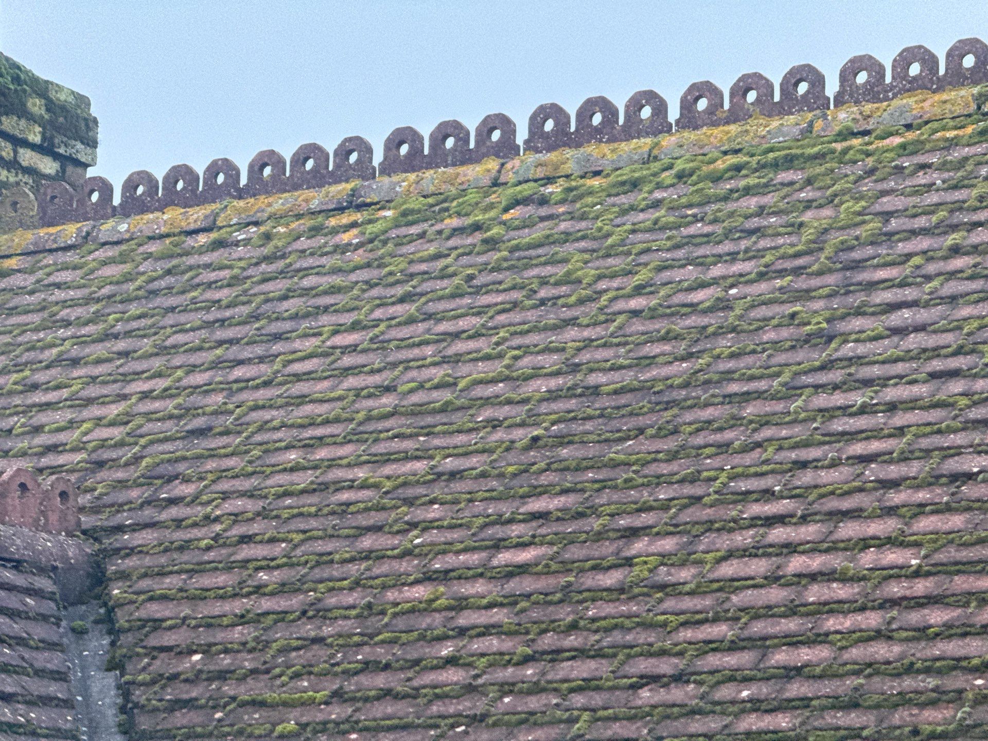 Roof And Render Clean by Ges Exterior Cleaning ltd