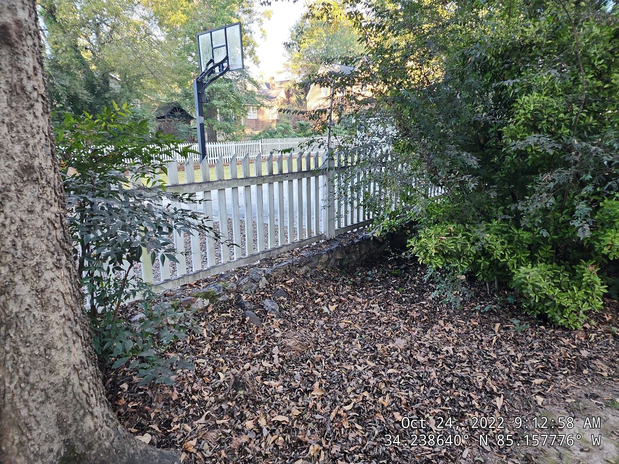 6' Wood Privacy with Dog Eared Pickets by Titans of Timber Fence & Stain