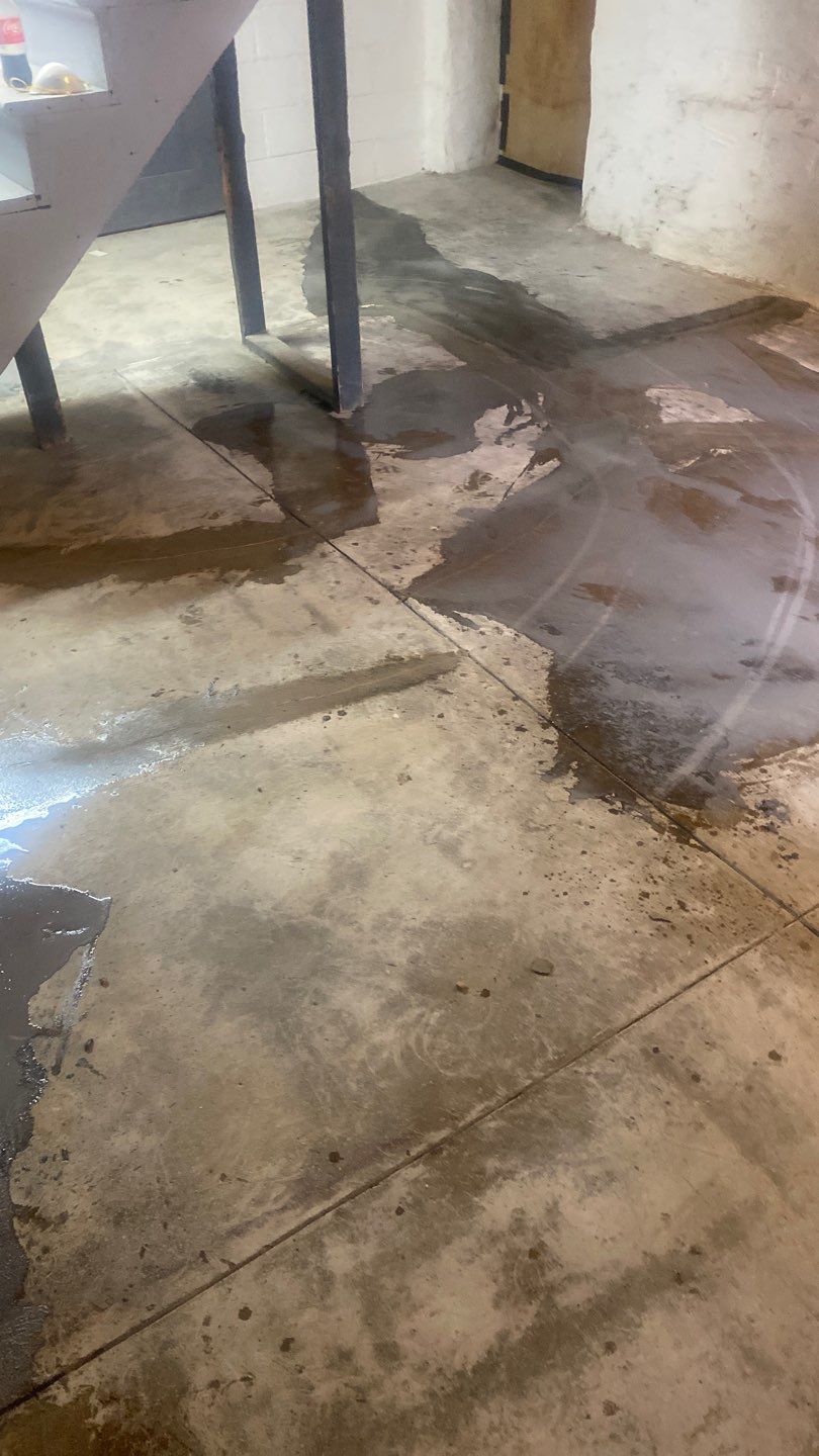 Cat Hospital Project in Pittsburgh by Floors in a Day, Inc