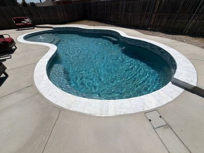 Freeform Pool with Tanning Ledge and Raised Stone Wall
